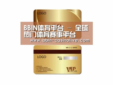 项目名称三