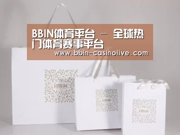 项目名称十一