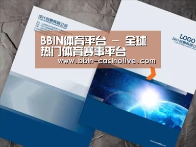 项目名称十