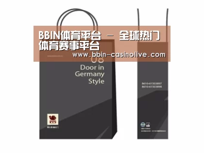 项目名称十四