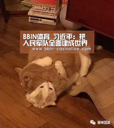 BBIN体育_习近平:把人民军队全面建成世界一流军队(图1) BBIN篮球