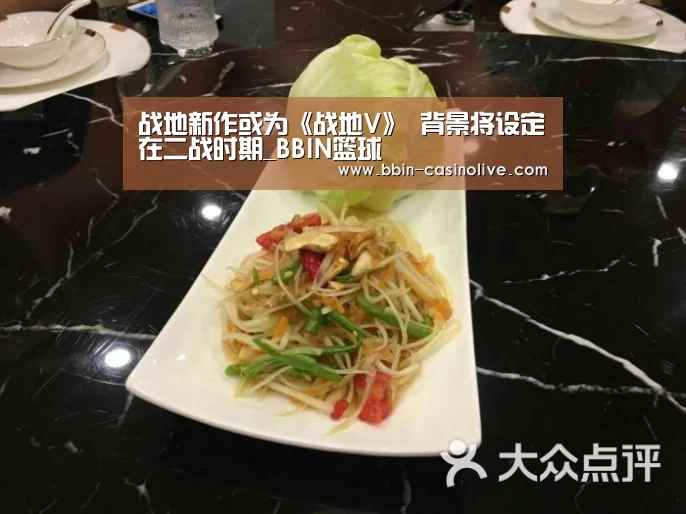 战地新作或为《战地V》 背景将设定在二战时期_BBIN篮球(图3) BBIN体育
