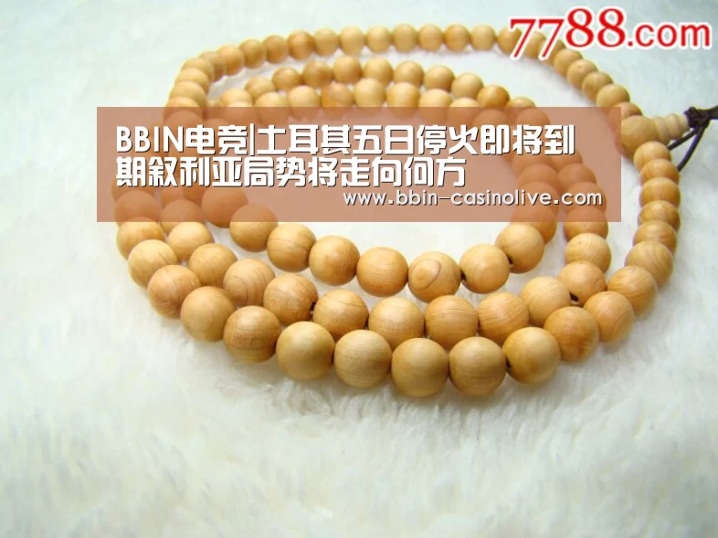 BBIN电竞|土耳其五日停火即将到期叙利亚局势将走向何方(图2) BBIN篮球